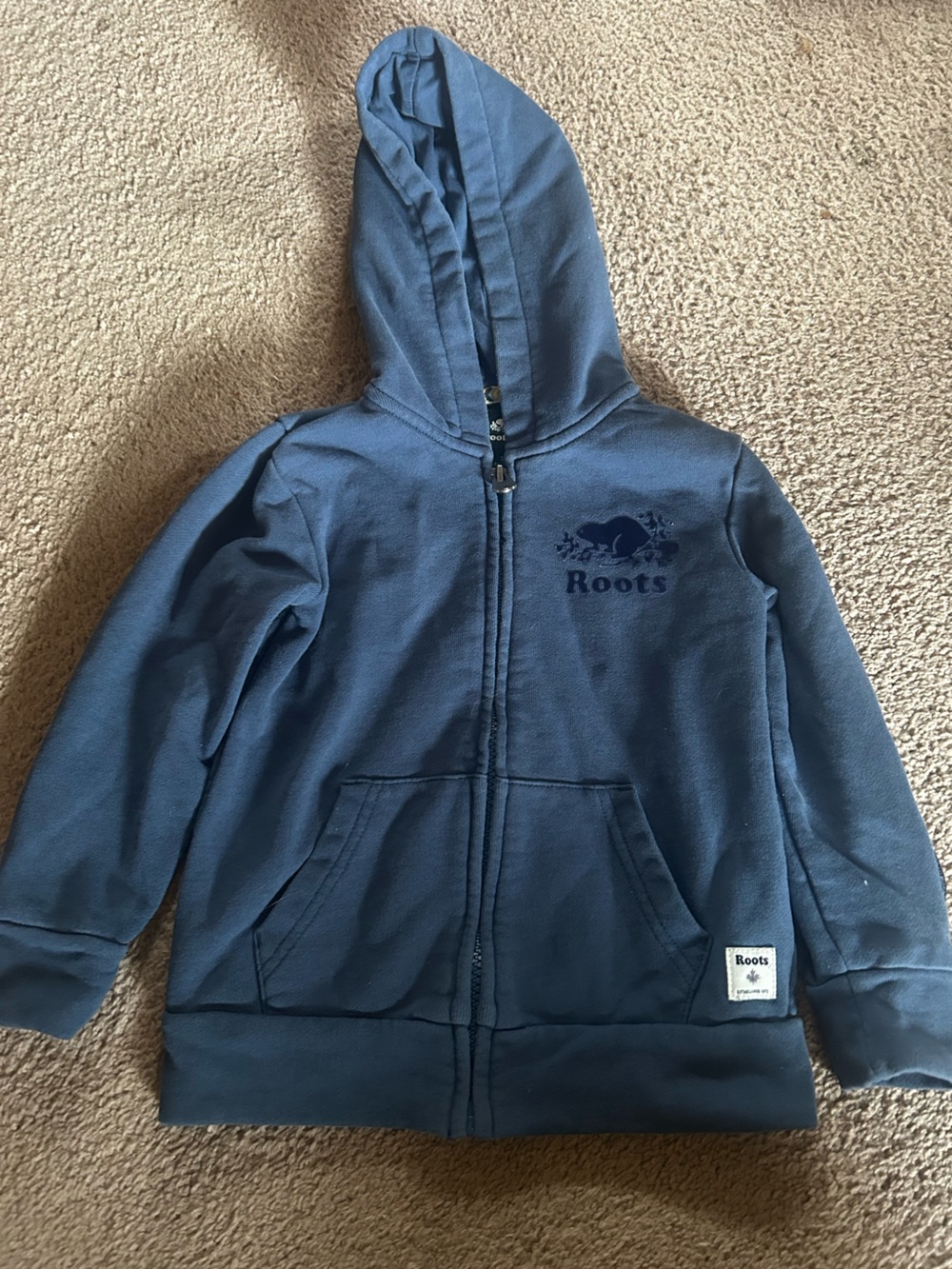 Roots Kids Blue Full-Zip Hoodie
